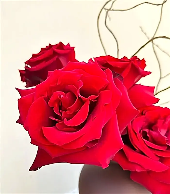 Oui Oui Kahverengi Seramik Vazoda Kırmızı Gül Aranjmanı