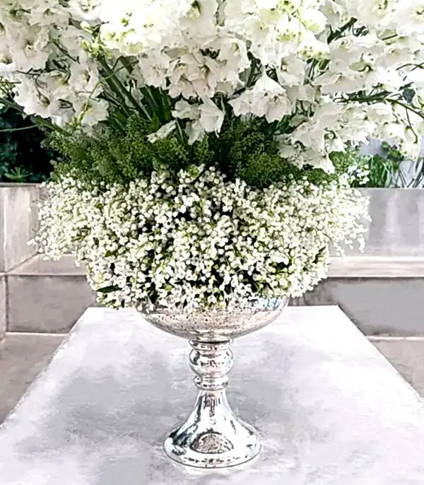 Panoramik 1000 Müge Çiçeği 100 Delfinyum Empire Deluxe Aranjman