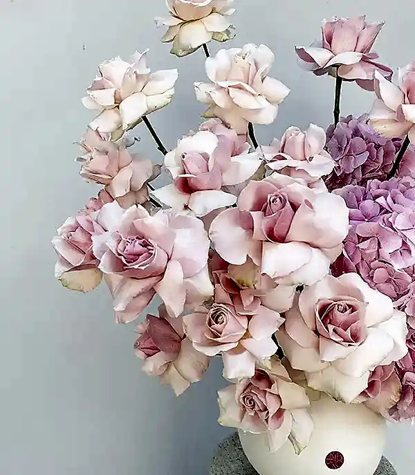 Pink Moment Deluxe Krem Seramik Vazoda Ortanca Gül Aranjmanı