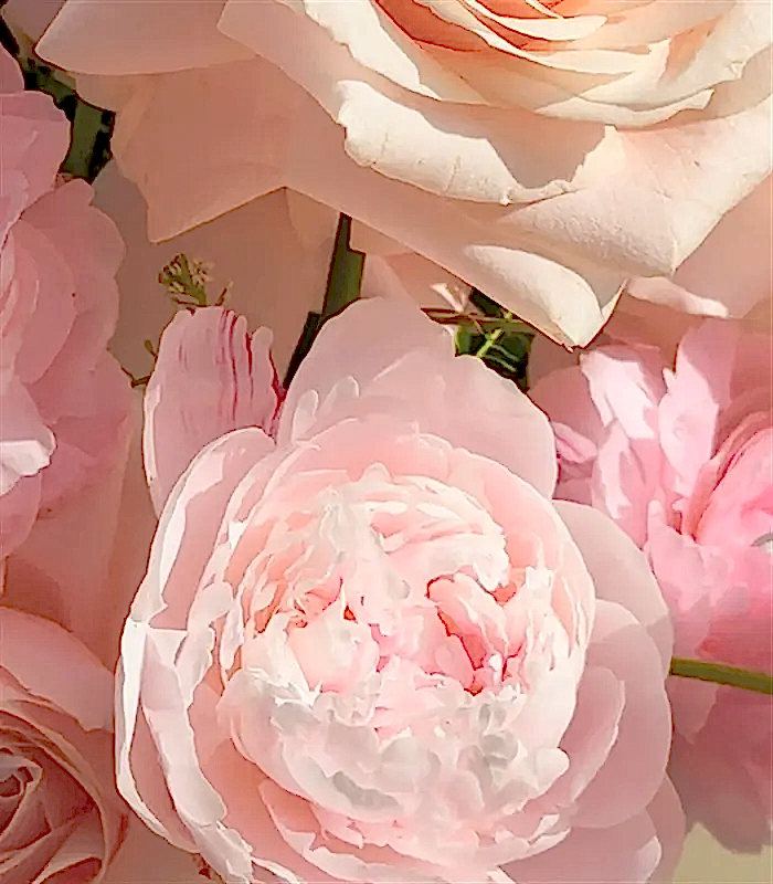 Puffy Heart Yeşil Vazoda Pudra Şakayık Gül Aranjmanı