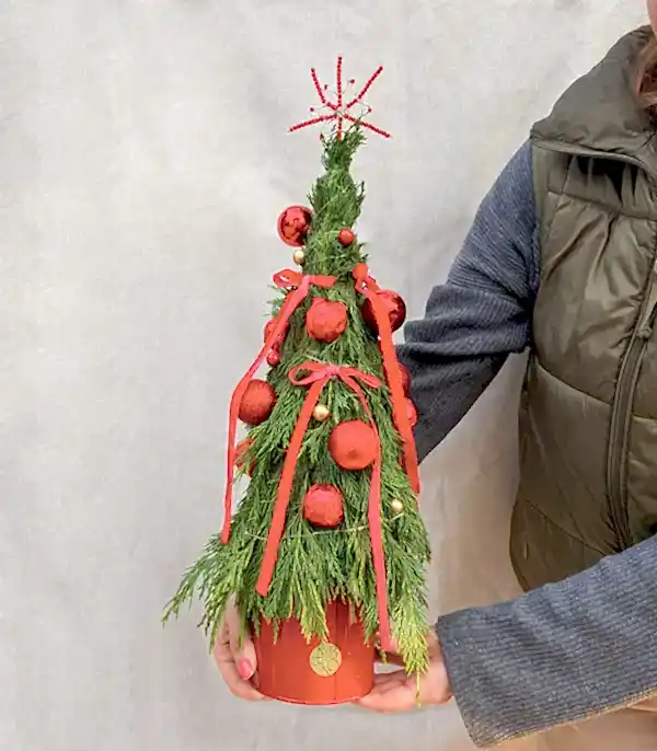 Red Chance El İşi Işıklı Çikolatalı Mini Yılbaşı Ağacı