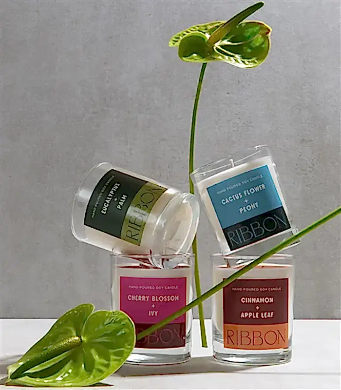 RIBBON Color Series Cam Mum Seti 4Lü