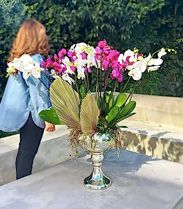 Royal Deluxe Eskitme Saksı 20 Dallı Orkide Fuşya Beyaz