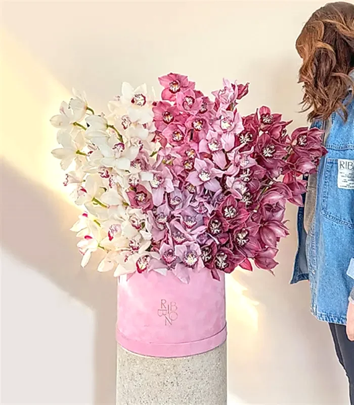 Royal Deluxe Şeker Pembe Kutuda Cymbidium Orkide Aranjmanı
