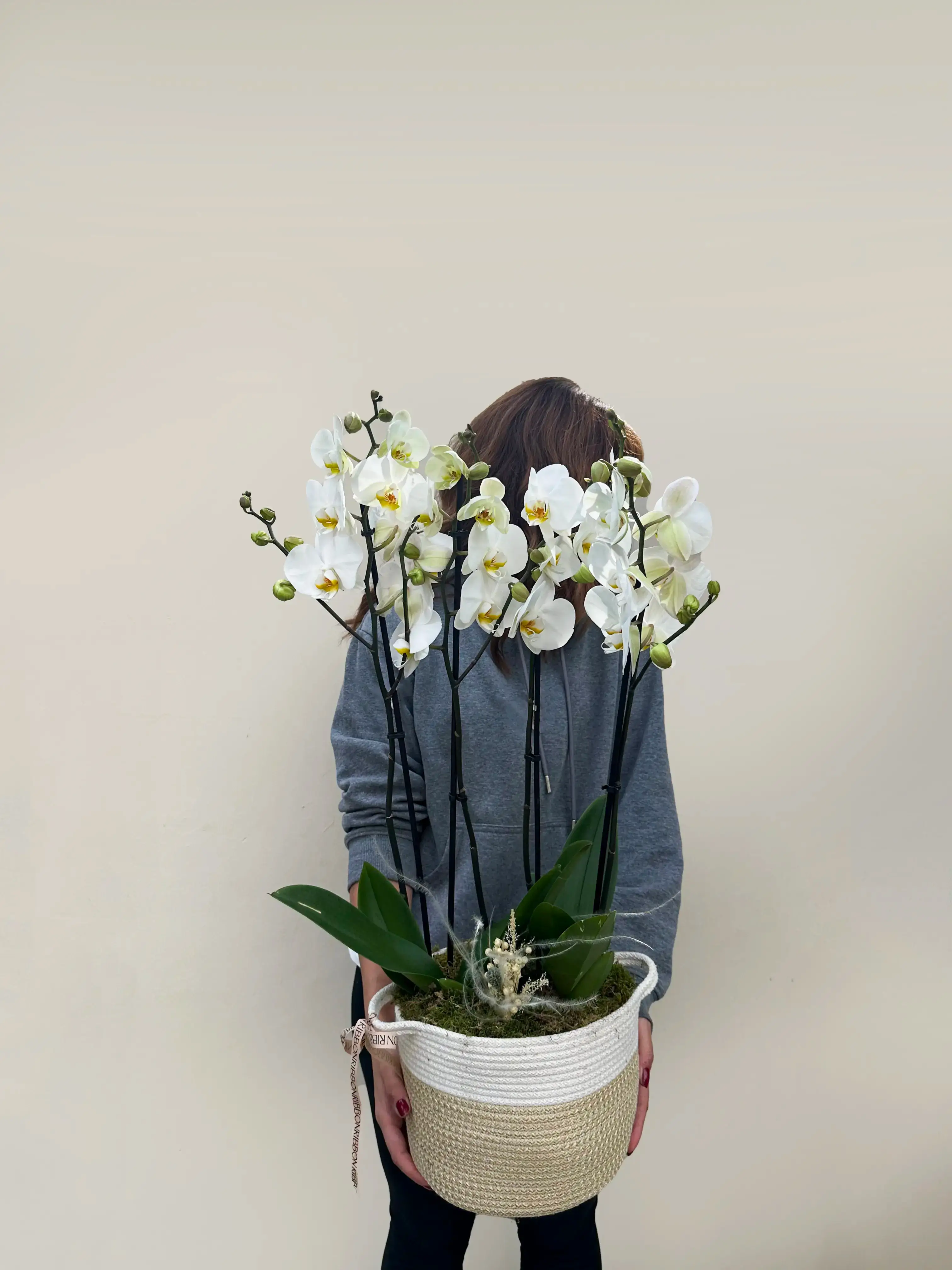 Sepette 4 Dal Orkide Beyaz