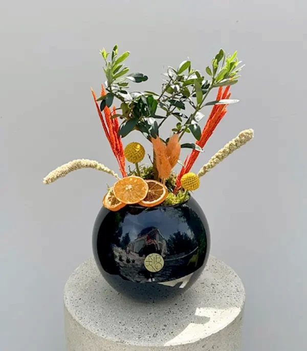 Siyah Cam Vazoda Zeytin Ağacı