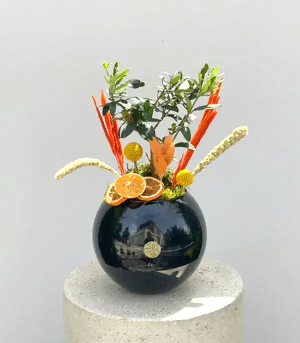 Siyah Cam Vazoda Zeytin Ağacı