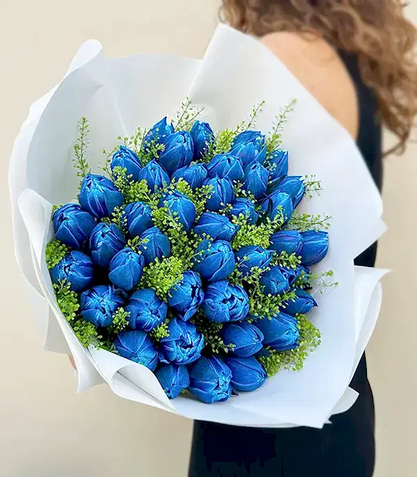 Sky Secret Grand Deluxe 41 Galaksi Lale Buketi