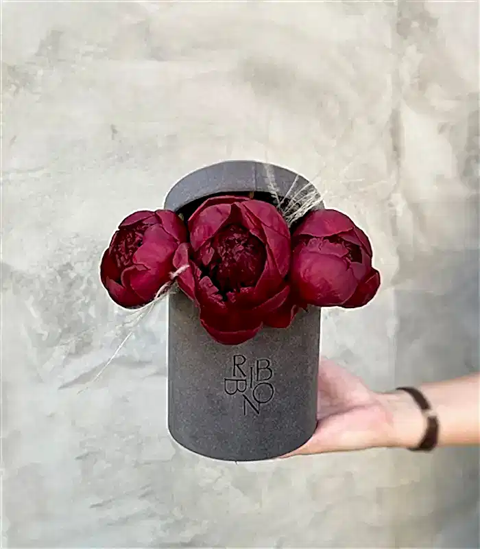 Vals Mini Gri Kutuda Bordo Şakayık