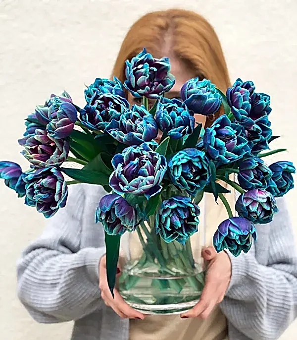 Vazoda 20 Galaksi Laleler