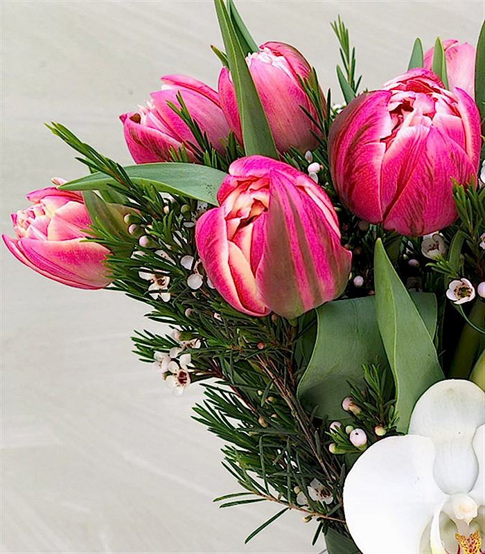 Vazoda Pembe Laleler ve Orkide