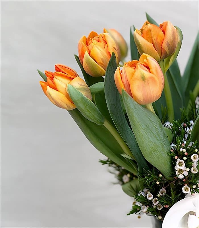 Vazoda Turuncu Laleler ve Orkide