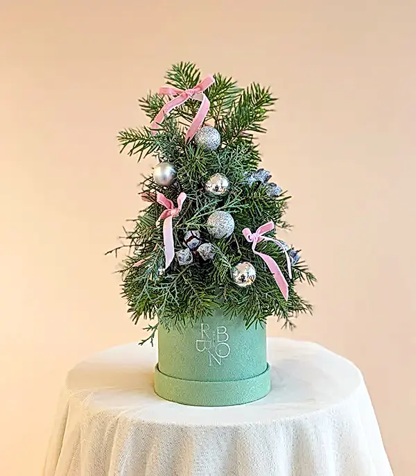 Yeşil Mini Kutuda Silver Süslü El İşi Çam Ağacı