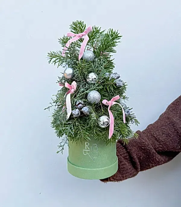 Yeşil Mini Kutuda Silver Süslü El İşi Çam Ağacı