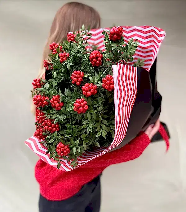 Yılbaşı Çiçeği Kokina Buketi (3)