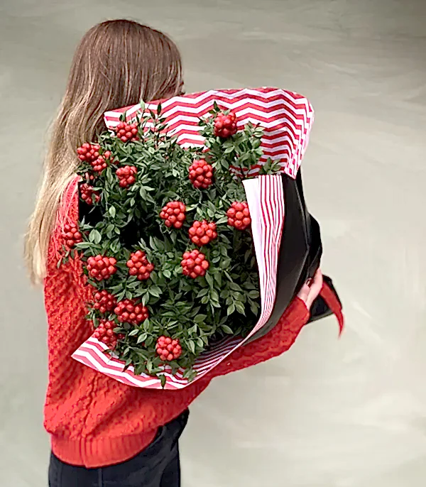 Yılbaşı Çiçeği Kokina Buketi (3)